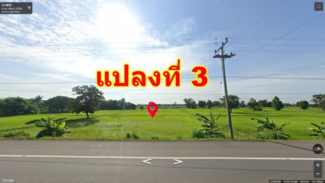 ขายที่ดิน บุรีรัมย์ อำเภอเมือง ที่เปล่า 3 ไร่ แบ่งขาย ขายถูก